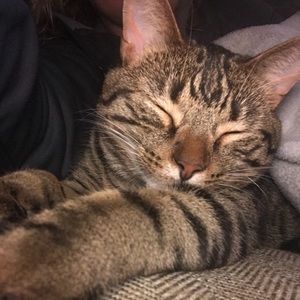 Meet your Posher, Theresa